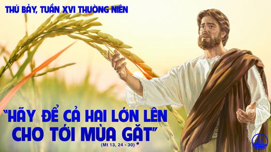 THỨ BẢY TUẦN 16 THƯỜNG NIÊN - NĂM A